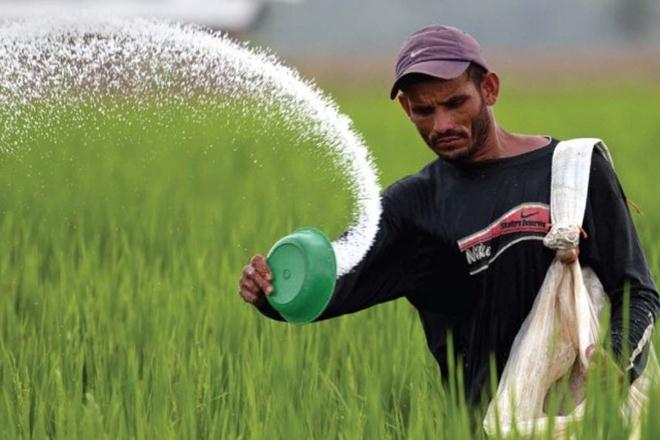 පොහොර තහනම ලිහිල් වූ හැටි පොහොර තහනම ලිහිල් වූ හැටි