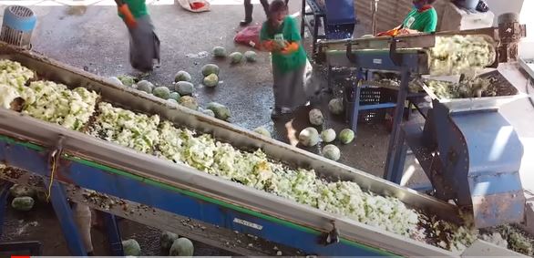 එළවලුවලින් විදුලිය නිපදවන්නේ මෙලෙසයි (VIDEO) එළවලුවලින් විදුලිය නිපදවන්නේ මෙලෙසයි (VIDEO)