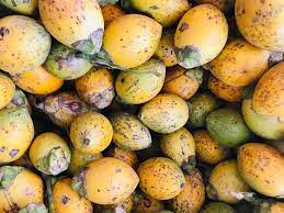 පුවක් ගෙඩියක් 20ට නගී පුවක් ගෙඩියක් 20ට නගී