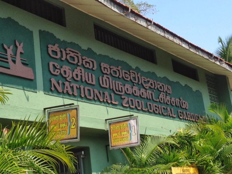 සත්වෝද්‍යාන විවෘත කිරීම ගැන නිවේදනයක්